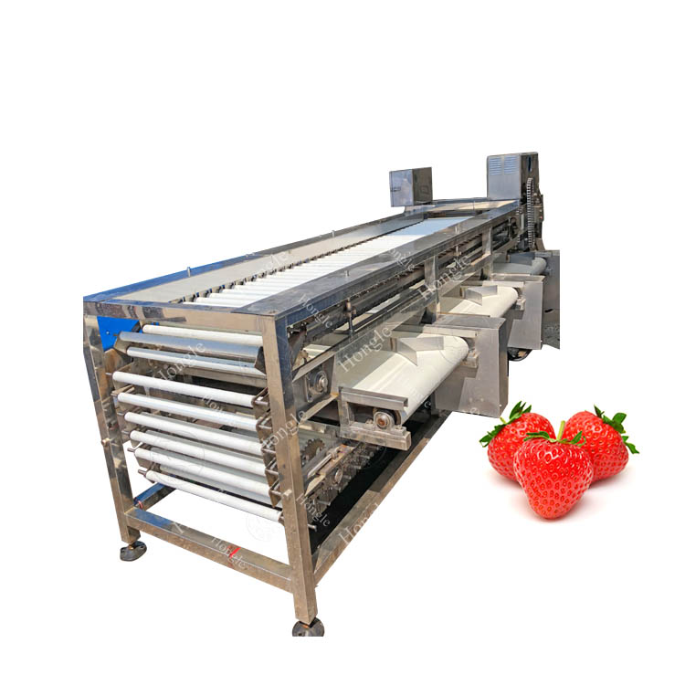 automatic strawberry vegetables cherry tomato grading machine lychee longan sorter